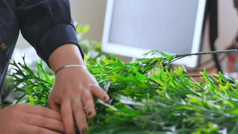 The work of a decorator. Women's hands and green artificial plants. Stock Footage 229648528