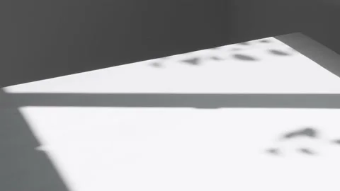 A work desk in an empty room with a window reflection and moving plants Stock Footage 171609189