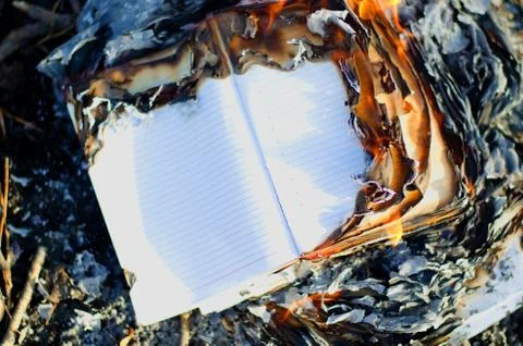 Work diary burns in an open fire. Stock Photos
