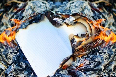 Work diary burns in an open fire. Stock Photos