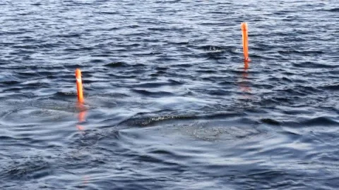 Work divers Video stock 95186762