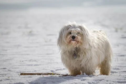 Work done Stock Photos