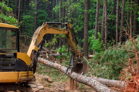 Work is done on a tractor manipulator in forests, which lifts logs Stock Photos