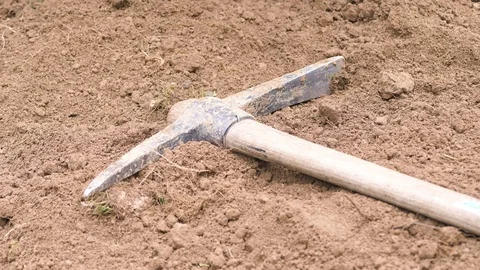 Work the earth with a hoe 스톡 동영상 98656969