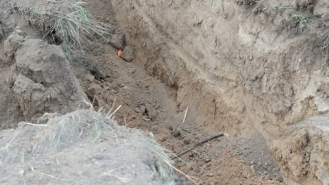 Work excavator damaging optical cable Stock Footage 89153906