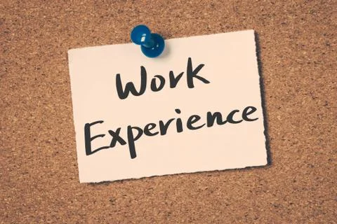 Work Experience Stock Illustration