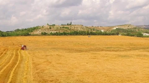 Work in the field from a bird's eye view Video stock 81001078