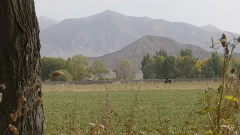 Work on field. A man sits on a horse and rests in a mountainous area. Stock Footage
