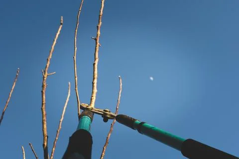 Work in the field Stock Photos