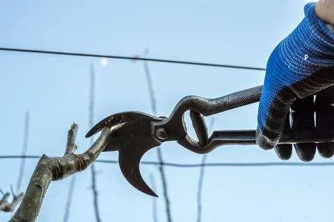 Work in the field Stock Photos