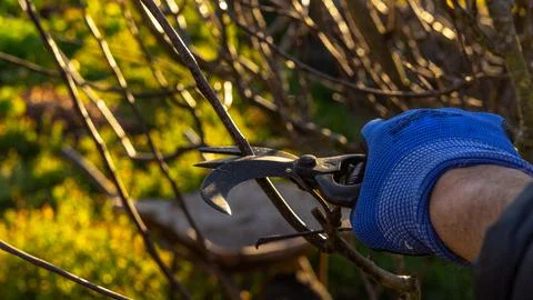 Work in the field Stock Photos