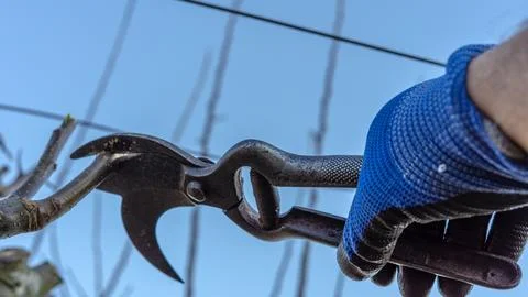 Work in the field Stock Photos