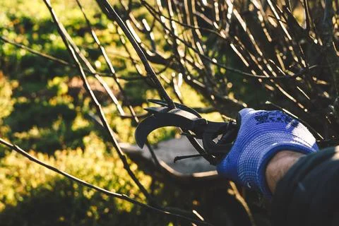 Work in the field Stock Photos