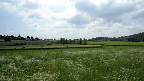 Work in the fields in the spring Video stock 75982079