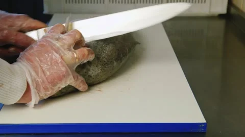 Work in the fish factory Stock Footage 58051065