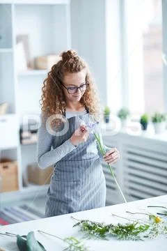 Work of florist Stock Photos