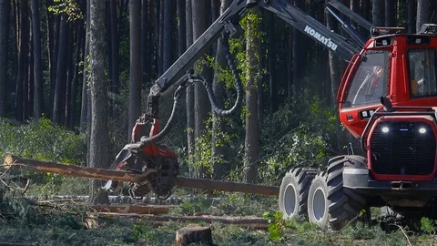 The work of a forest harvester in a dense pine forest Stock Footage 103182983