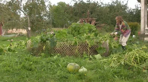 Work in garden Video stock 21266599