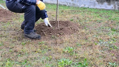 Work in the garden 스톡 동영상 83583629