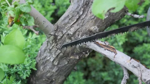 Work in the garden. Stock Footage 131098984