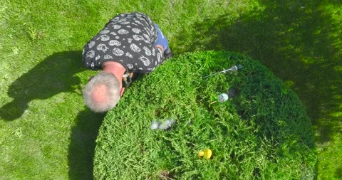 Work in the garden. The man cuts branches and bushes with a pruner. Concept o Video stock 197670493