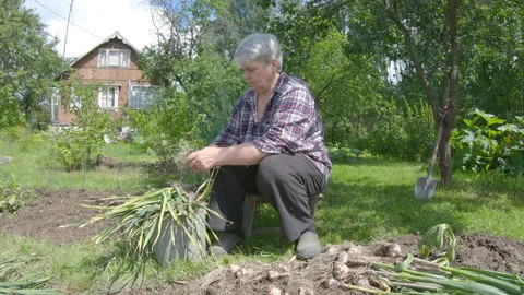 Work in the garden, part 1 Stock Footage 136000682