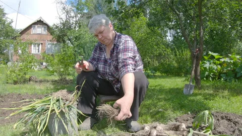 Work in the garden, part 2 Stock Footage 135984920