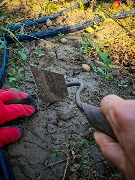 Work in the garden Stock Photos