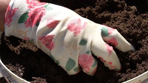 Work in garden. Planting Stock Footage 111305542
