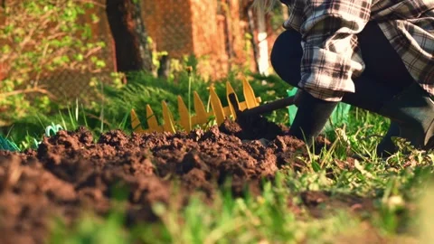 Work with a garden rake on garden plot. preparation of a garden bed for sowing Stock Footage 274724528