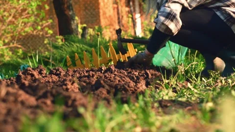 Work with a garden rake on garden plot. preparation of a garden bed for sowing Stock Footage 276091820