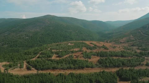 Work of geologists. Pine forest in the mountains. Summer. Yakutia. Russia. Vídeos de archivo 253984974