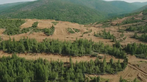 Work of geologists. Pine forest in the mountains. Summer. Yakutia. Russia. Stock Footage 253985277