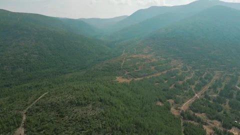 Work of geologists. Pine forest in the mountains. Summer. Yakutia. Russia. Stock Footage 253985405