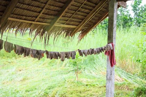 Work Gloves on Clothes Line. Stock Photos