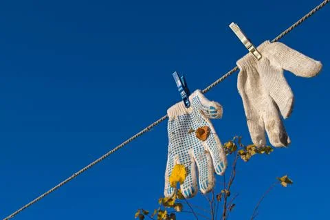 Work gloves, fastened on rope with two clothespins, with leaves stuck after work Stock Photos
