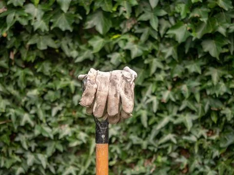 Work gloves on the handle of a garden fork Stock Photos