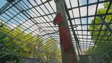 Work Gloves Hanging on Wooden Post Inside Metal Frame Structure | Scaffold Stock Footage 336289334