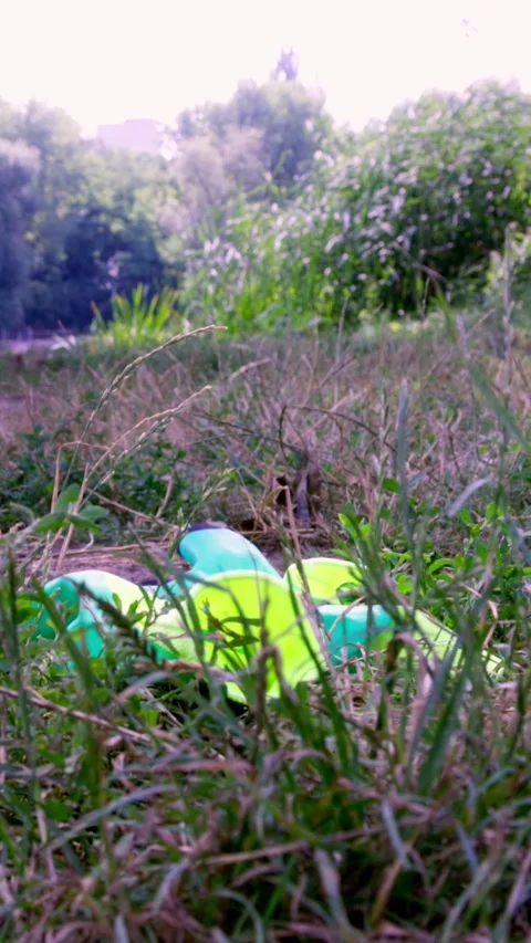 Work Gloves Lying on Grass by Riverside After Cleanup Activity Vidéo 340577000