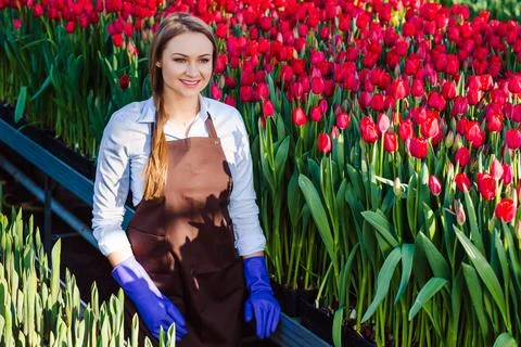 Work in the greenhouse Stockfoto's