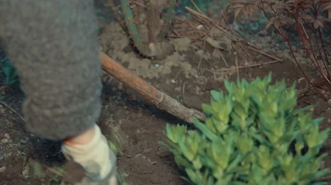 Work on the Ground With a Rake Stock Footage 62647681