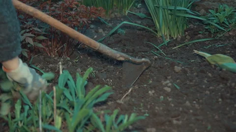 Work on the Ground With a Rake Stock Footage 62649000