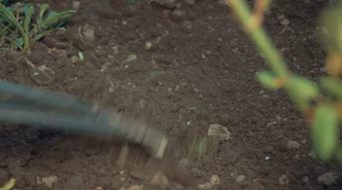 Work on the Ground With a Rake Stock Footage 62649261