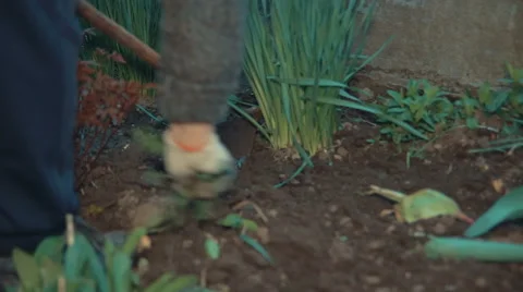 Work on the Ground With a Rake Stock Footage 62649723