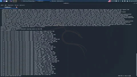 Work hacker with the operating system. kali linux Stock Footage 124518161
