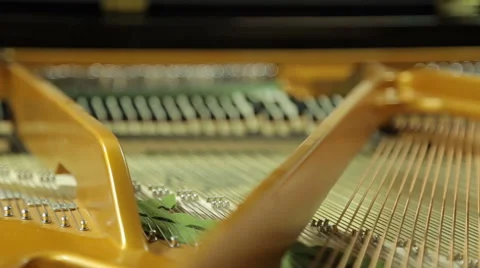 Work  hammers inside the grand piano Stock Footage 45344877