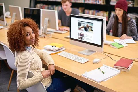 Work hard, and youll get good grades like me. students working on computers in a Stockfoto's