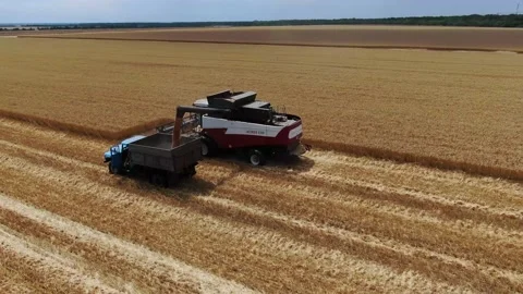 Work harvester in a wheat field Stock Footage 137467944