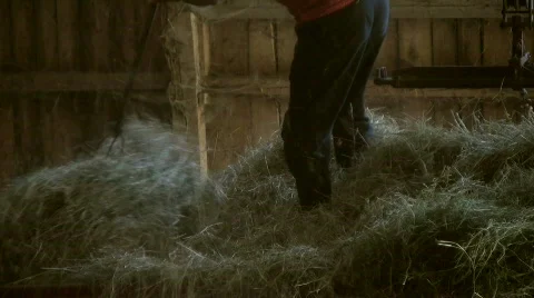Work with a hay fork 動画素材 484705