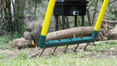 Work in a home garden Stock Footage 194976159